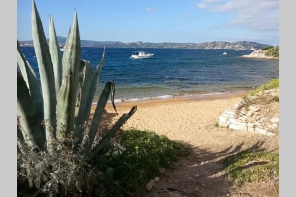Casa Maddalenina Con Giardino, Vicino Al Mare! Apartamento La Maddalena  Exterior foto
